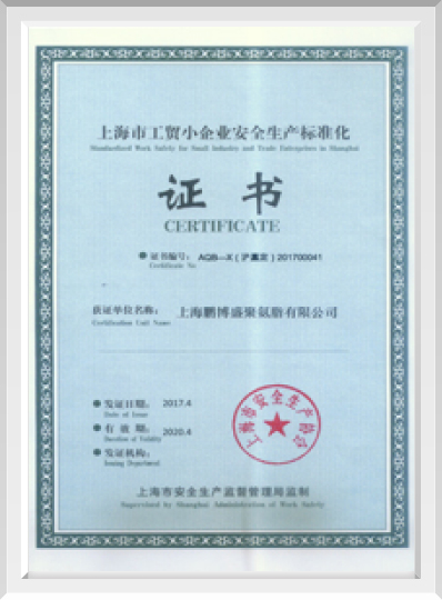 上海市工貿(mào)小企業(yè)安全生產(chǎn)標準化